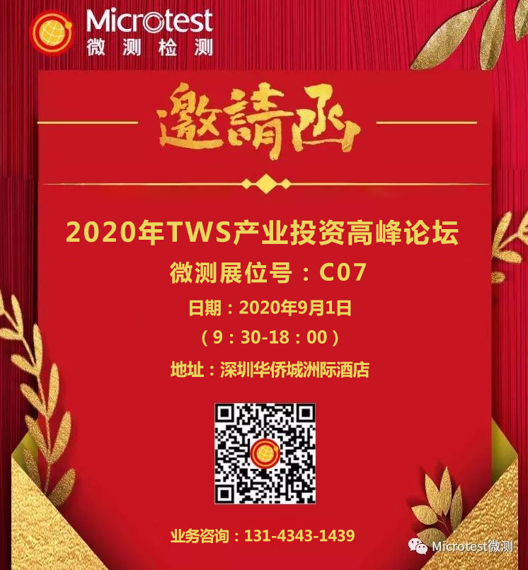 2020年TWS產(chǎn)業(yè)投資高峰論壇-微測檢測